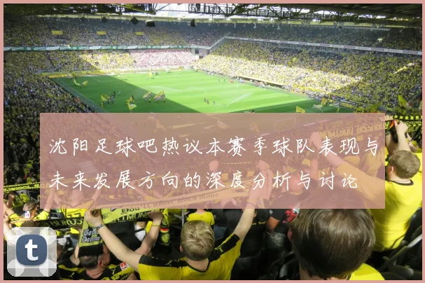 沈阳足球吧热议本赛季球队表现与未来发展方向的深度分析与讨论