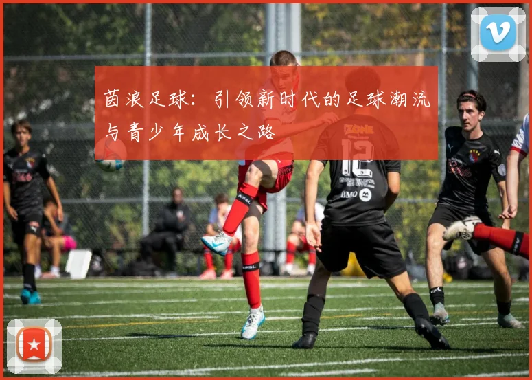 茵浪足球：引领新时代的足球潮流与青少年成长之路